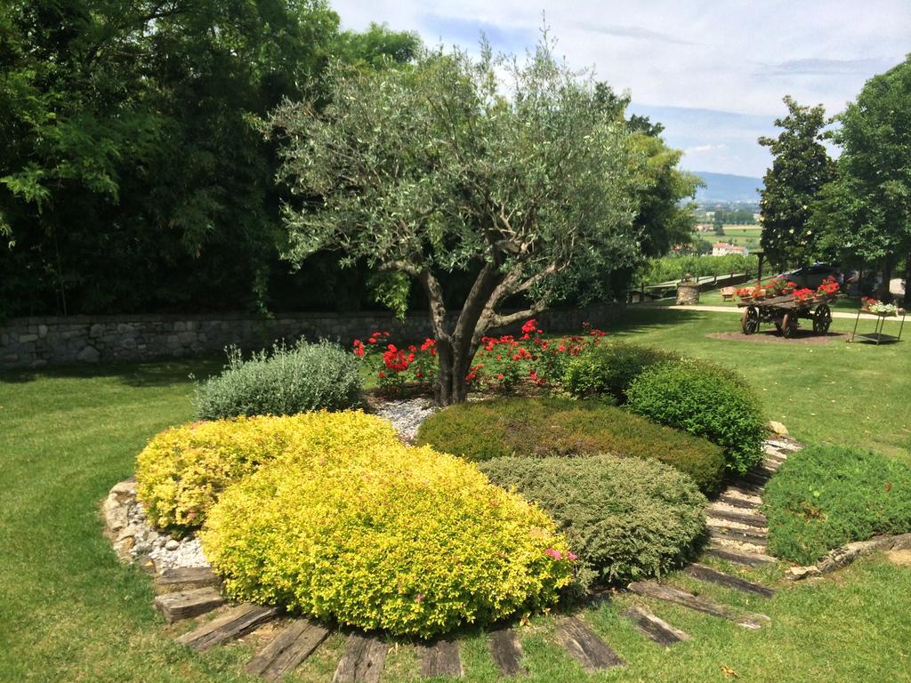 Вілла Agriturismo Al Colle Del Ciliegio Rovolon Екстер'єр фото