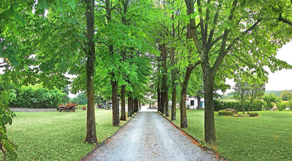 Вілла Agriturismo Al Colle Del Ciliegio Rovolon Екстер'єр фото